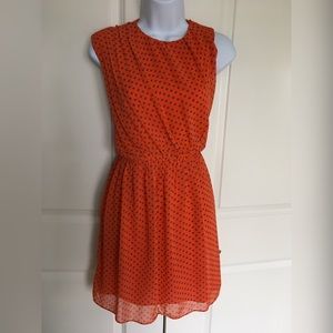 Fun Polka Dot Dress